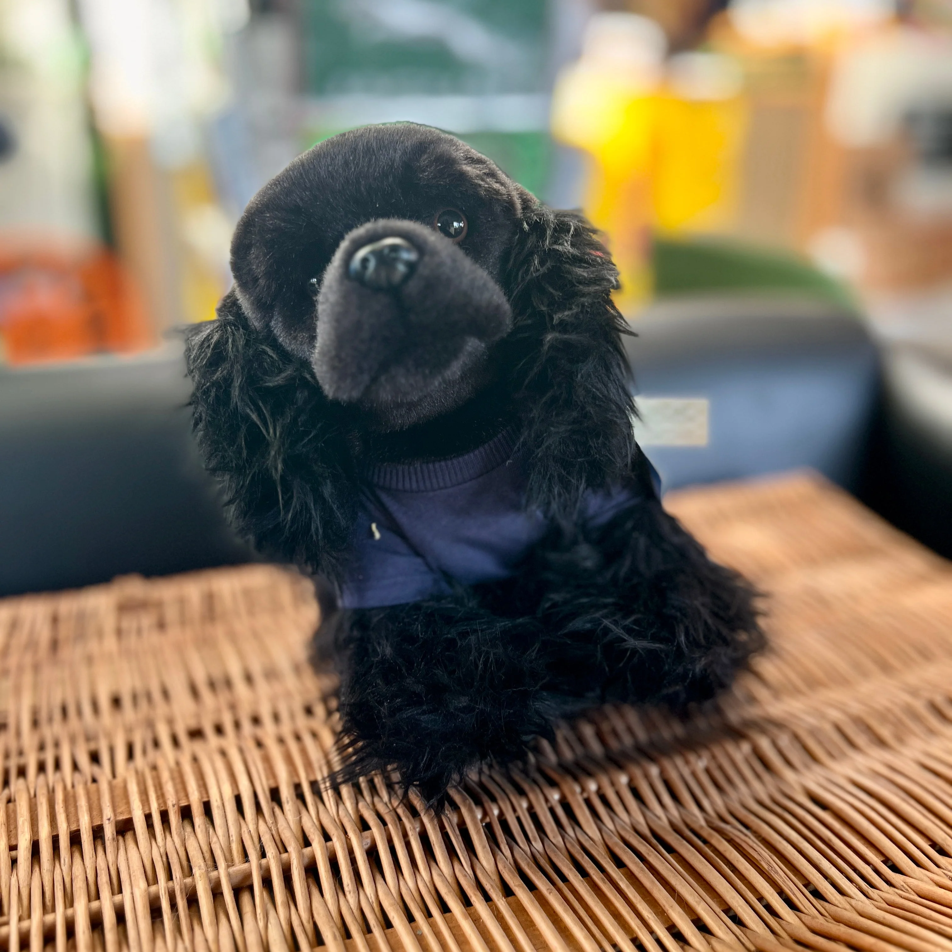 Iris Plush Toy