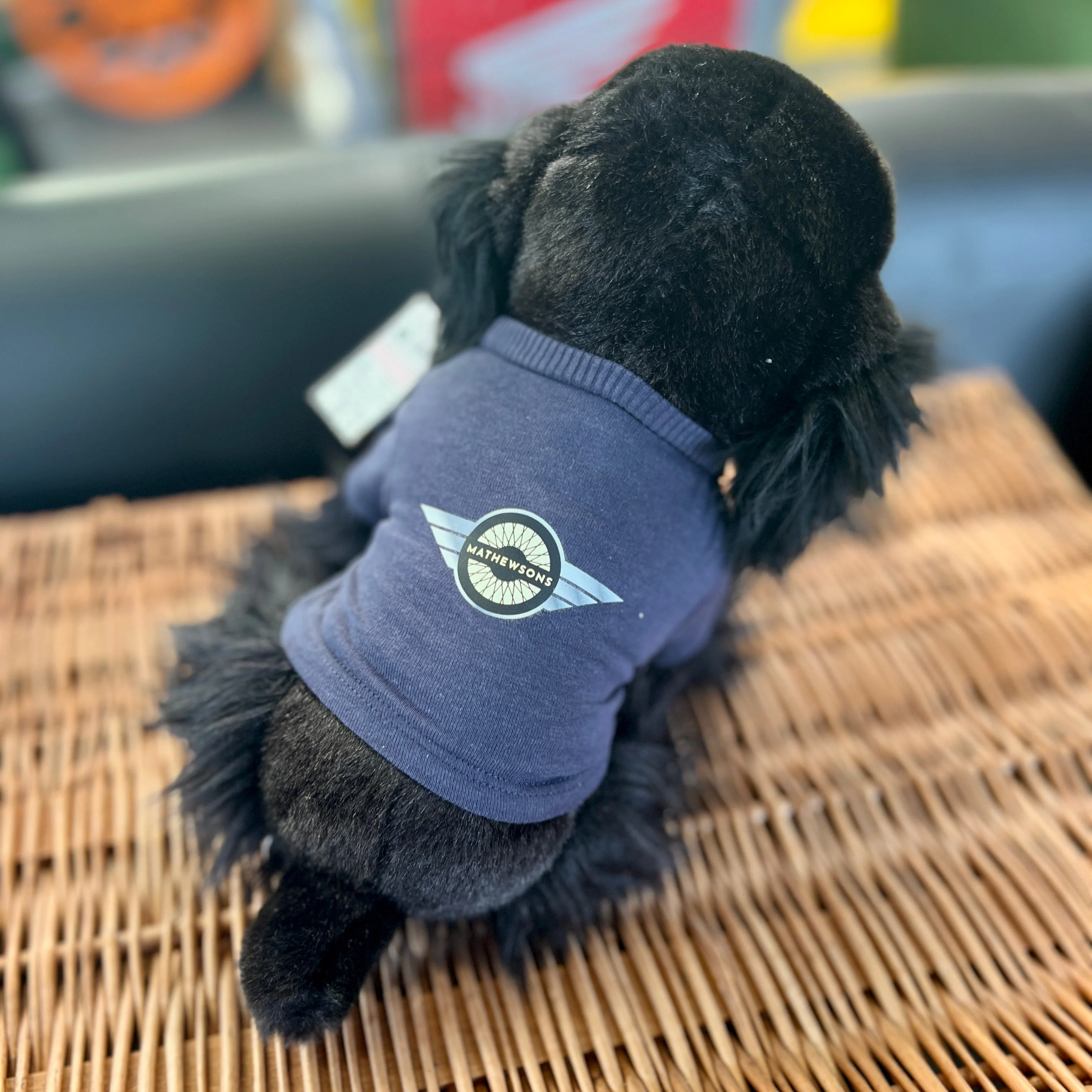 Iris Plush Toy - Image 2