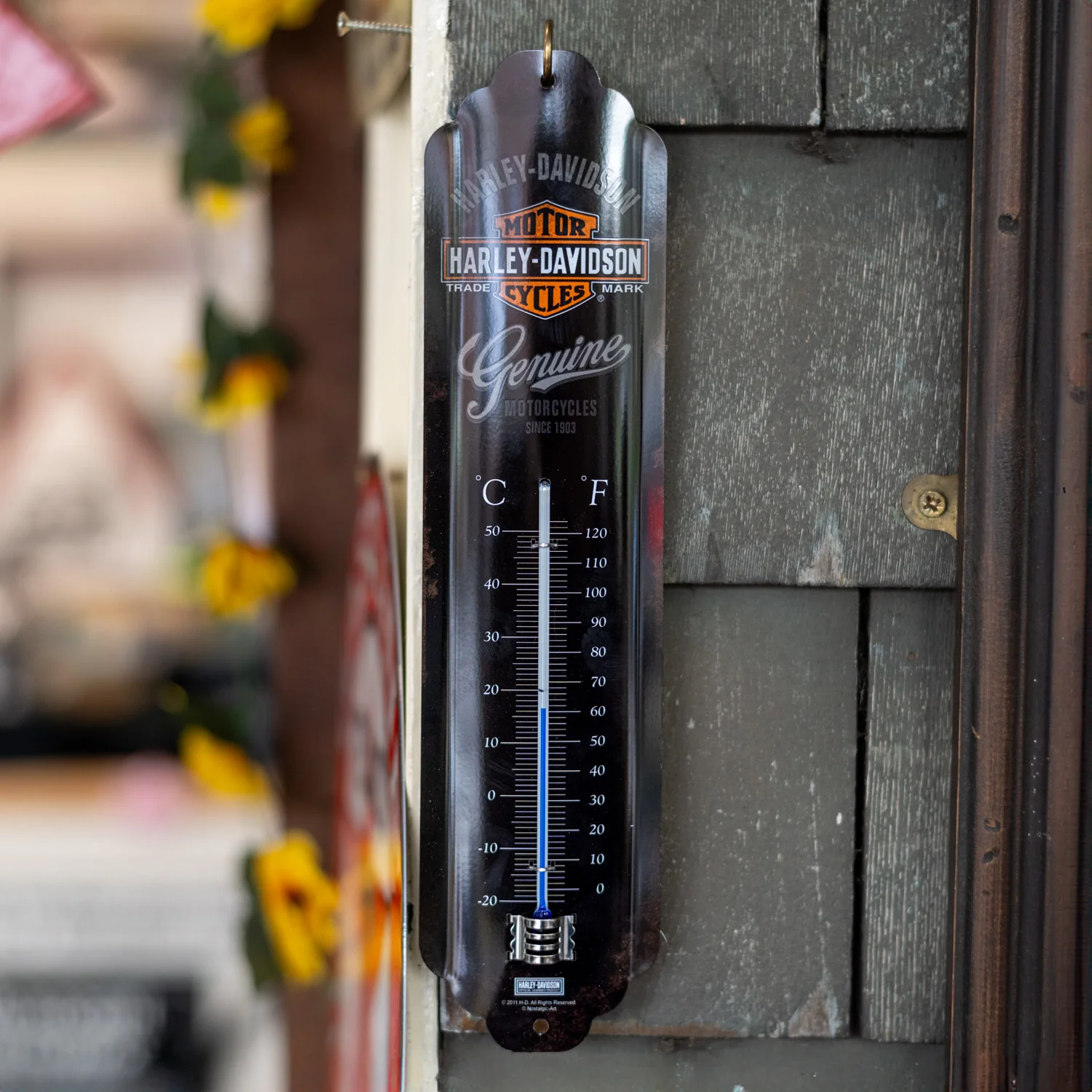 Nostalgic Thermometers - Image 3